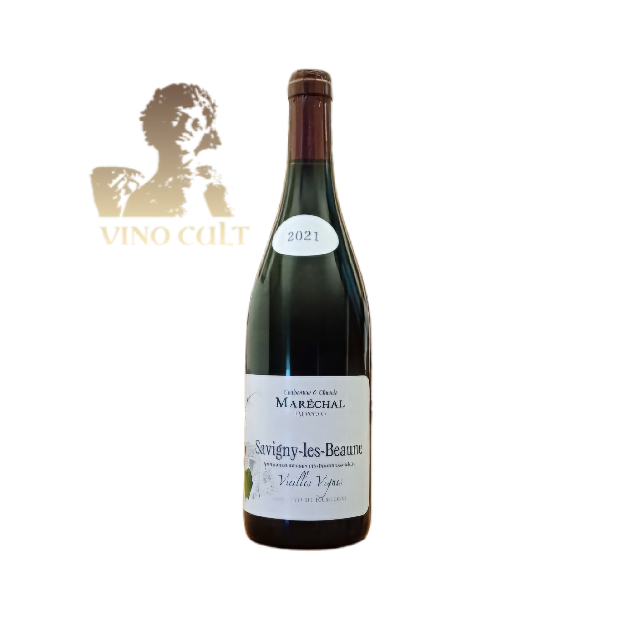 20251220_160621-removebg-preview